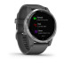 Умные часы Garmin VIVOACTIVE 4 серые с серебристым безелем