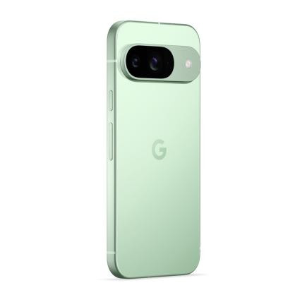Смартфон Google Pixel 9 12/128Gb Global Wintergreen